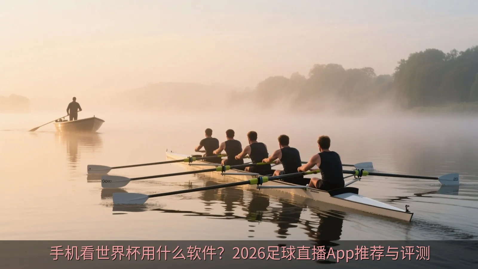 手机App界面展示足球比赛实时数据面板与统计图表